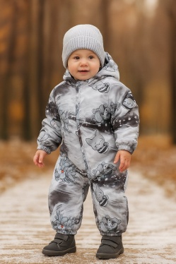 Комбинезон демисезонный Huppa DEIRO 3 36290310-33048 (серый, принт)