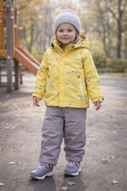 PogoKids, демисезонный комплект PG88268-6 (желтый, серый)
