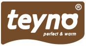 Teyno logo