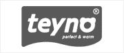 Teyno лого